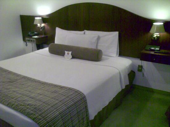 Hotel Anaca Sao Carlos Eksteriør bilde